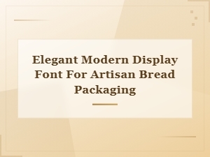 Elegant Modern Display Fonts for Artisan Bread Packaging